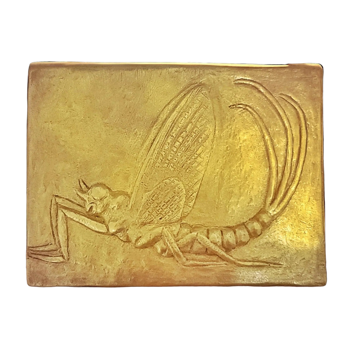 Handcrafted Mayfly insect chocolate bar made in Bozeman, Montana