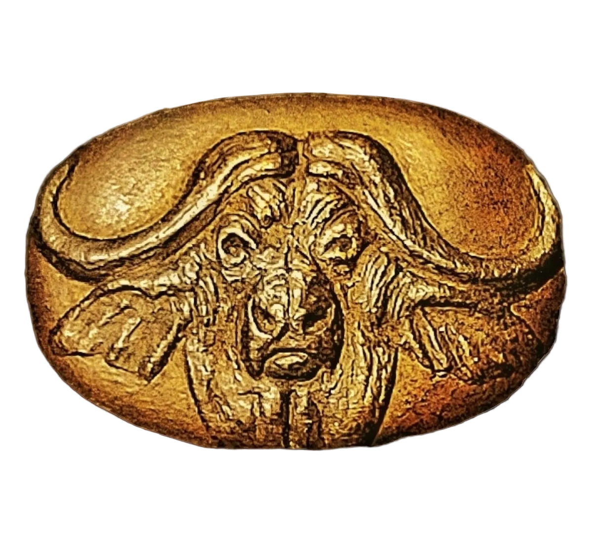 Handcrafted Cape Buffalo chocolate bar made in Bozeman, Montana